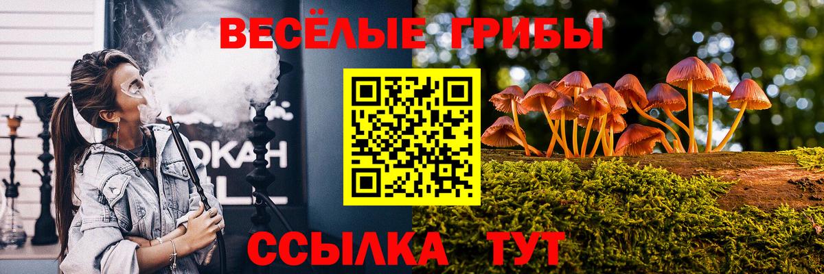 Галлюциногенные грибы GOLDEN TEACHER  Вход с VPN  Полысаево  Псилоцибиновые грибы мицелий 