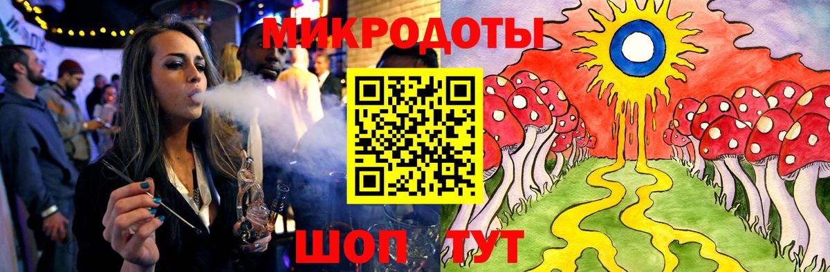 Псилоцибиновые грибы Psilocybe Полысаево